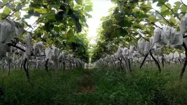 在阜阳，有这样一个地方